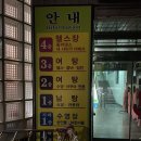 용호레포츠 이미지