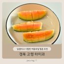 경북과일 | 경북 고령 하미과 후기, 달콤하고 시원한 여름과일 멜론 추천
