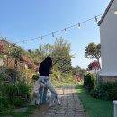 동부산팜 이미지