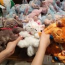 주식회사 더해피
