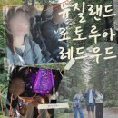 펀앤락야영장 | 로토루아 레드우드 방문, 실버 펀 숙소 후기 뉴질랜드 여행 #2