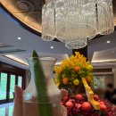 알로에테마파크 | 나쨩(나트랑) 강추, 빈펄 럭셔리 나트랑 가든뷰 후기