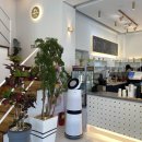 파란 카페 앤 호스텔 이미지