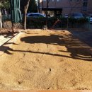 율원초교 병설유치원 이미지