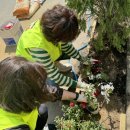 정자1동행정복지센터 이미지