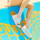 웨이블렛
