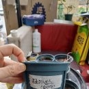 솜사탕약국 이미지