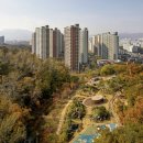 포레스타 이미지