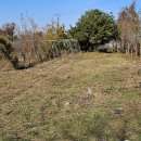 상모농장 이미지