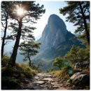 지연과 하나되는 소백산 문장대 트레일런 이미지