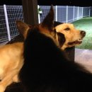 디제이 뭉 이미지