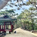 소나무공원 화장실 이미지