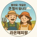 석화식당 - 송파구 | (내돈내산) 경산 옥산동 한우 맛집 석화한우식육식당 솔직후기