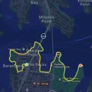 피쉬카페행복바다 유한회사 | 27.9세의 혼자 떠난 호주여행 (4)_시드니#4