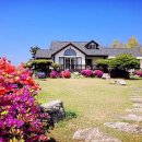 보헤미안 블루 이미지