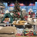 세종프라자 | 크리스마스소품 모던하우스 AK플라자 세종점 크리스마스홈파티