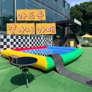 라드독 애견미용실 | [애견카페 라드독] 성남 애견카페 추천! 강아지 유치원 &amp; 수영장까지 | 성남 가볼 만한 곳