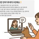 올바른 반려견 보호자 교육 | &#34;대구·경북 보호자 반려견 교육 후기” — 반려견 문제행동, 훈련사 없이 해결했어요.