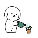 충장로123번길 이미지