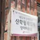아모스대구 | [대구 두류역 미용실추천] 중단발 클리닉 시술 머릿결관리 솔직후기