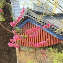 이마트 앞 횡단보도 | 포포인츠 바이 쉐라톤 서울 구로 호텔 객실과 조식 후기(공항버스와 지하철 역 가까운 호텔)