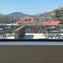 함안(부산) | [경남 함안]부산근교 함안 대형카페 &#39;샬로우커피&#39; 함안점 방문후기