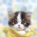 이컴퍼니