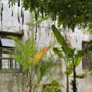 전북제사 1970 데프콘1 | <무주 카페 전북제사1970&amp;서바이벌 데프콘> 비오는날 가기 좋은 카페, 아이와 갈만한 곳. 물론 맑은 날...