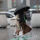 강한비