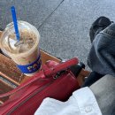 쁘띠쟈니 | 피할 수 없으면 즐.. 즐(ㅗ)입니다!