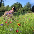 블렌하임 카카오 검색결과