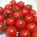 태환농장 이미지