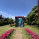 바다를 품은 꿈결같은 공간, 제주 고흐의 정원에서 만난 예술과 자연의 하모니