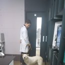 진숙농장 이미지