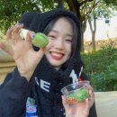 토모토모