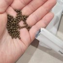 남지한의원 | 강남다이어트한의원 감비환 비대면처방 일주일복용후기