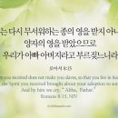 오늘의 &#39;영어성경 사진&#39;(396강) “양자(養子)의 영(靈)”(로마서 8장 15절) 이미지