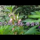 봉선화(鳳仙花) (봉숭화)(너를 반겨 놀았도다) 이미지