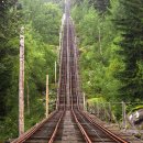 ◈세계속의 특이하고 신비로운 길들◈2025.12.06. 이미지