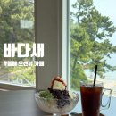 동해 묵호 한섬해수욕장 오션뷰 카페 추천 바다새