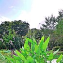 개평한옥문화마을 이미지