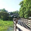 초록숲공원 이미지