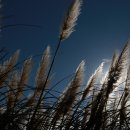 스마트폰활용과 사진촬영 이미지