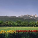 자연풍경 이미지