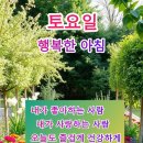 미학개론 이미지