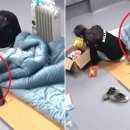 가스안전버너