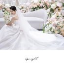 (주)제이서브코리아 | 밝은홀 본식 스냅, 서브 스냅, DVD 업라이트 계약 후기 및 추천 이유 + 월드컵컨벤션 임페리얼볼룸홀