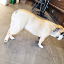 더리터오식도점 이미지