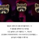보네또 | 운니들과서울에왔더염