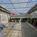 상도태권도 신상도점 이미지